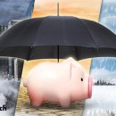 (주)든든한헬스케어 이미지