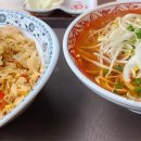 하노이포
