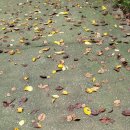 백옥세탁소 이미지