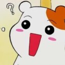하우스본 이미지
