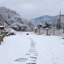 숲속의하얀집 이미지