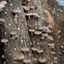 목골농장 이미지