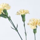 신천연합병원 이미지