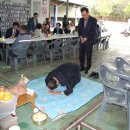 모토매니아 자동차공업사 이미지