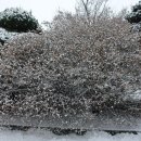한국철도공사 인재개발원 이미지