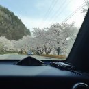 햇살민박 이미지