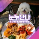 눈누난나 | “강아지랑 한식뷔페라니?! 판교 눈누난나 리얼 후기”