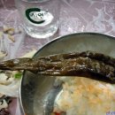 부산의료원 이미지