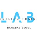 레슬링연구소 이미지