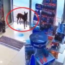 해온약국 이미지