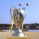 등나무 운동장 이미지