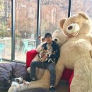 와와멍# 이미지