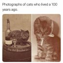 구워,삶다. | 라망타로 상담후기🫶잡담과 타로 유튜브 그 사이.. 재회, 남자친구속마음, 잠수, 차단, 연락두절 관련...