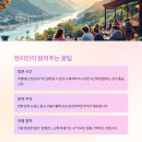 일출한우농장 이미지