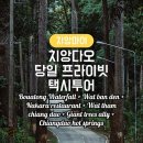 힐링인투어 이미지