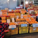 제주시민속오일시장 이미지