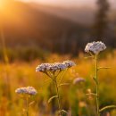 애경자동차 이미지