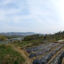 상일초교버스 정류장 이미지