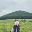 남원읍-20 | [후기] 제주 ATV 남원읍 가볼만한곳 '소랑ATV'