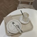창원 도계동 아늑한 분위기 애견동반 가능한 코너스트리트 카페