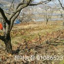 진아농장 이미지