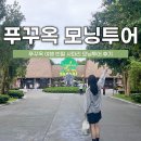 (주)모닝투어 | 푸꾸옥 여행 아침 도착하면 뭐하지? 빈펄 사파리 모닝투어 후기