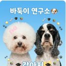 하버드유치원 | [청주 애견유치원] 증멍사진 프롬프트 어버이날 이벤트