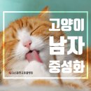 365동판교동물병원 이미지