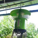 철만농장 이미지