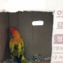 훈이박스 이미지