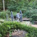 보라매약수터 이미지