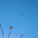 솔소리농장 이미지