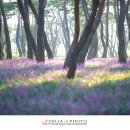 황성공원 시민운동장 이미지