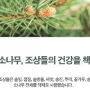 청옥산분말 이미지