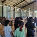 육성농장 이미지