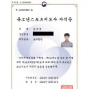 노형인력