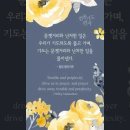 오늘의 '신앙 명언'(300강) 필립 멜란쉬톤(Philipp Melanchthon) 이미지
