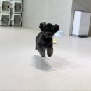 송파위례유치원 이미지