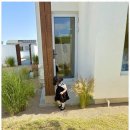 자연숲펜션 이미지