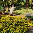 한림공원 이미지