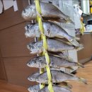 백제불교최초도래지 간다라유물전시관화장실 | 영광 최초 백제불교도래지