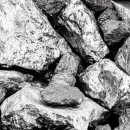 쫑의전쟁 이미지