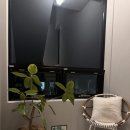 몬테르니 이미지