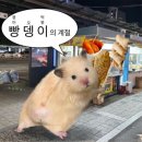 최고의 공격은 방어