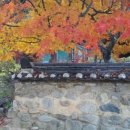 플로리안스테이