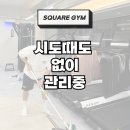 프리미엄 스퀘어짐 이미지