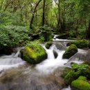 도계상동 이미지