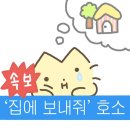 내일비안와요 | August, 10~19 "영원이란 없다고 쉽게 말을 하지만 난 믿지 않았던거야"