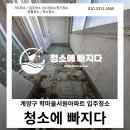 학마을 | 곰팡이 가득한 계양구 학마을 서원아파트 입주청소 후기