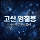 루이보그 | 고산 엄철용 자미두수 무료 풀이 방법 및 배우자운 적중 후기 총정리